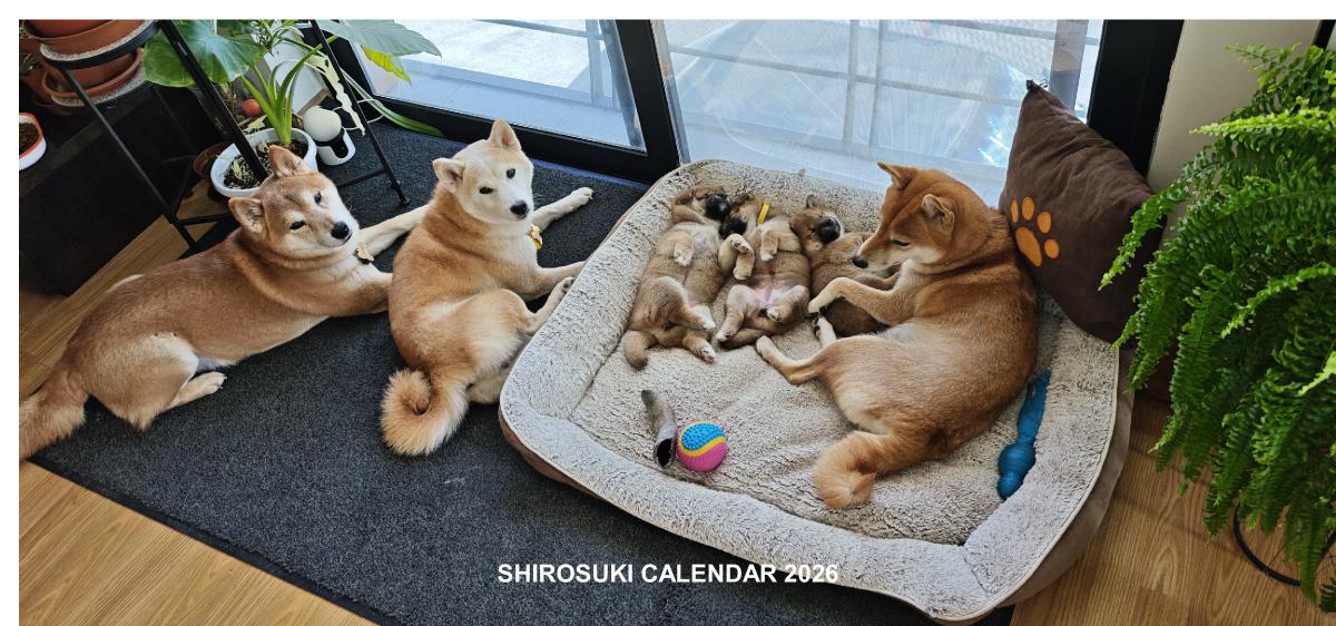 SHIROSUKI 2026