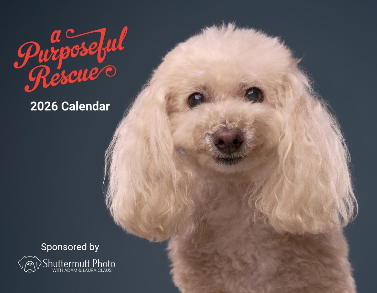 A Purposeful Rescue 2026 Photo Calendar