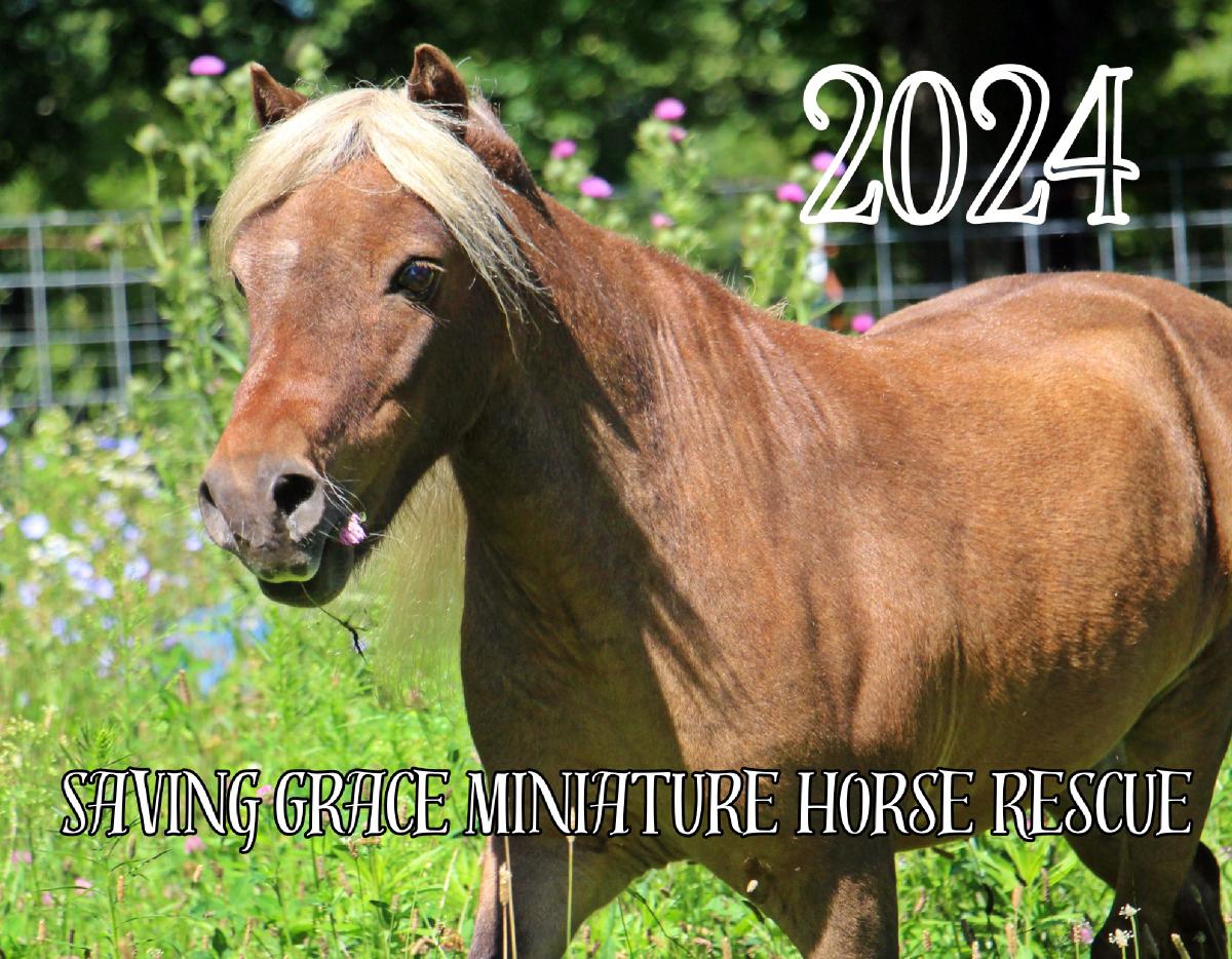 SAVING GRACE MINIATURE HORSE RESCUE 2024 CALENDAR