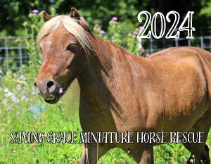 SAVING GRACE MINIATURE HORSE RESCUE 2024 CALENDAR