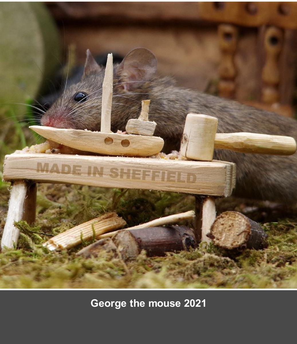 George the mouse wood work 2022 calendar