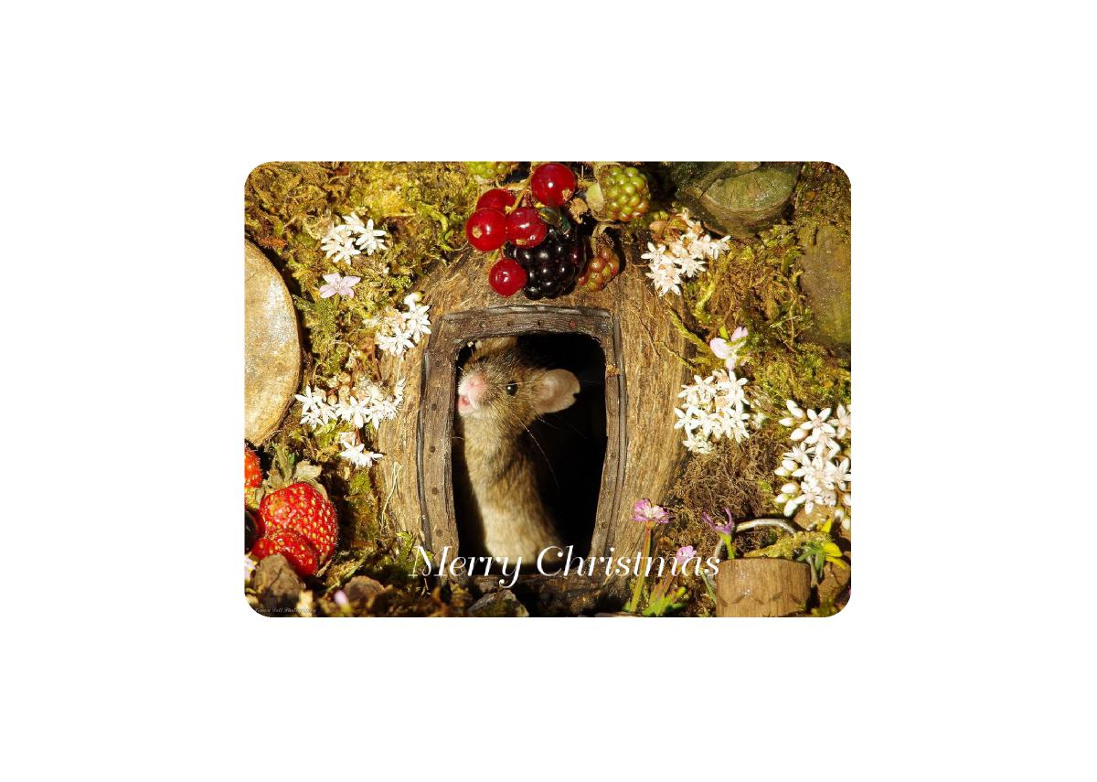 christmass mouse