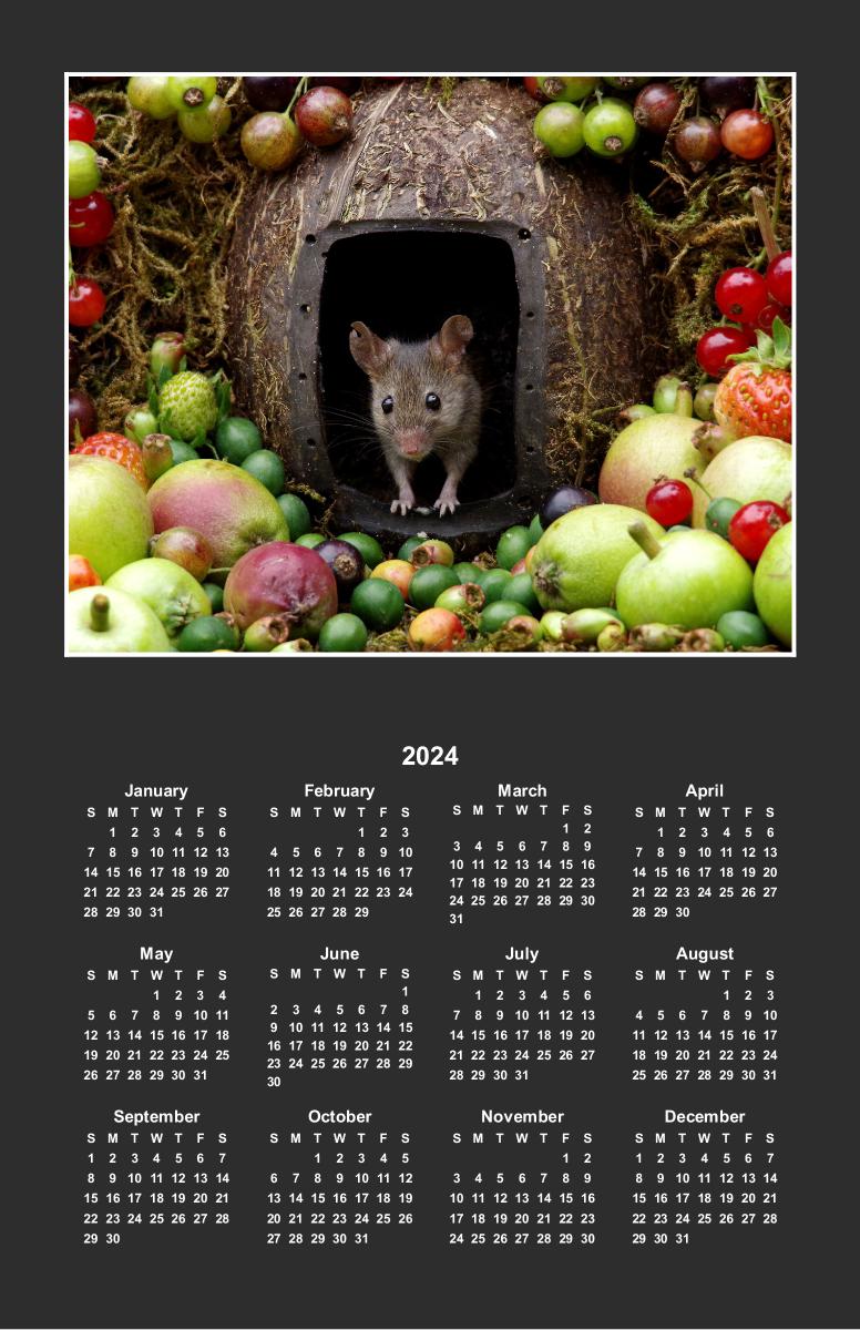 George the mouse poster calendar