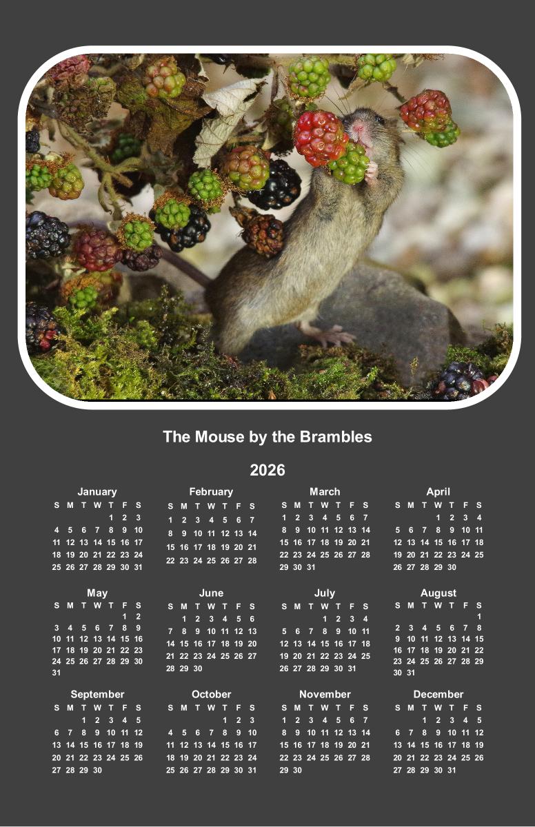 George The mouse by the Brambles  poster