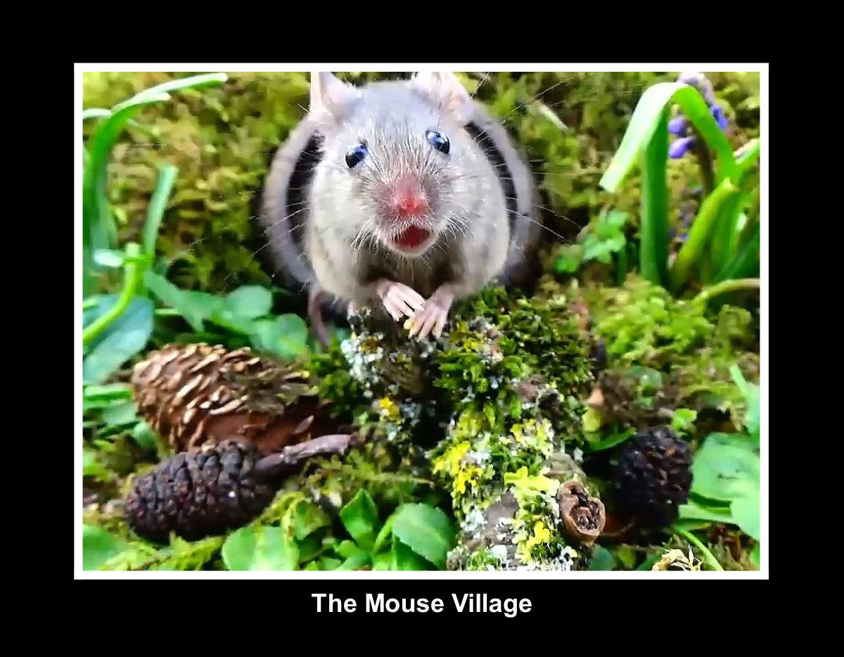 2026 the magical mouse town calendar