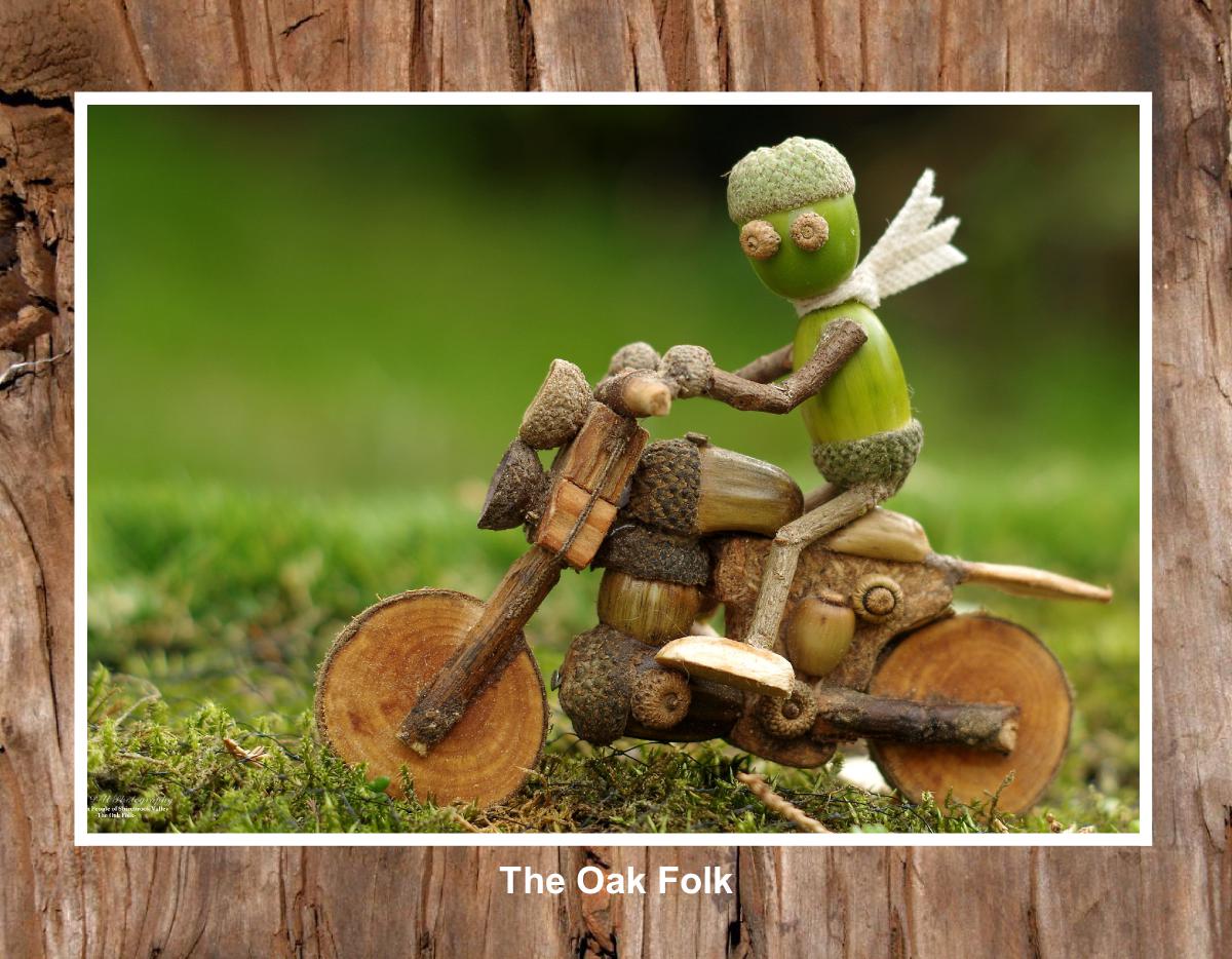 The Oak Folk of Shirebrook Valley