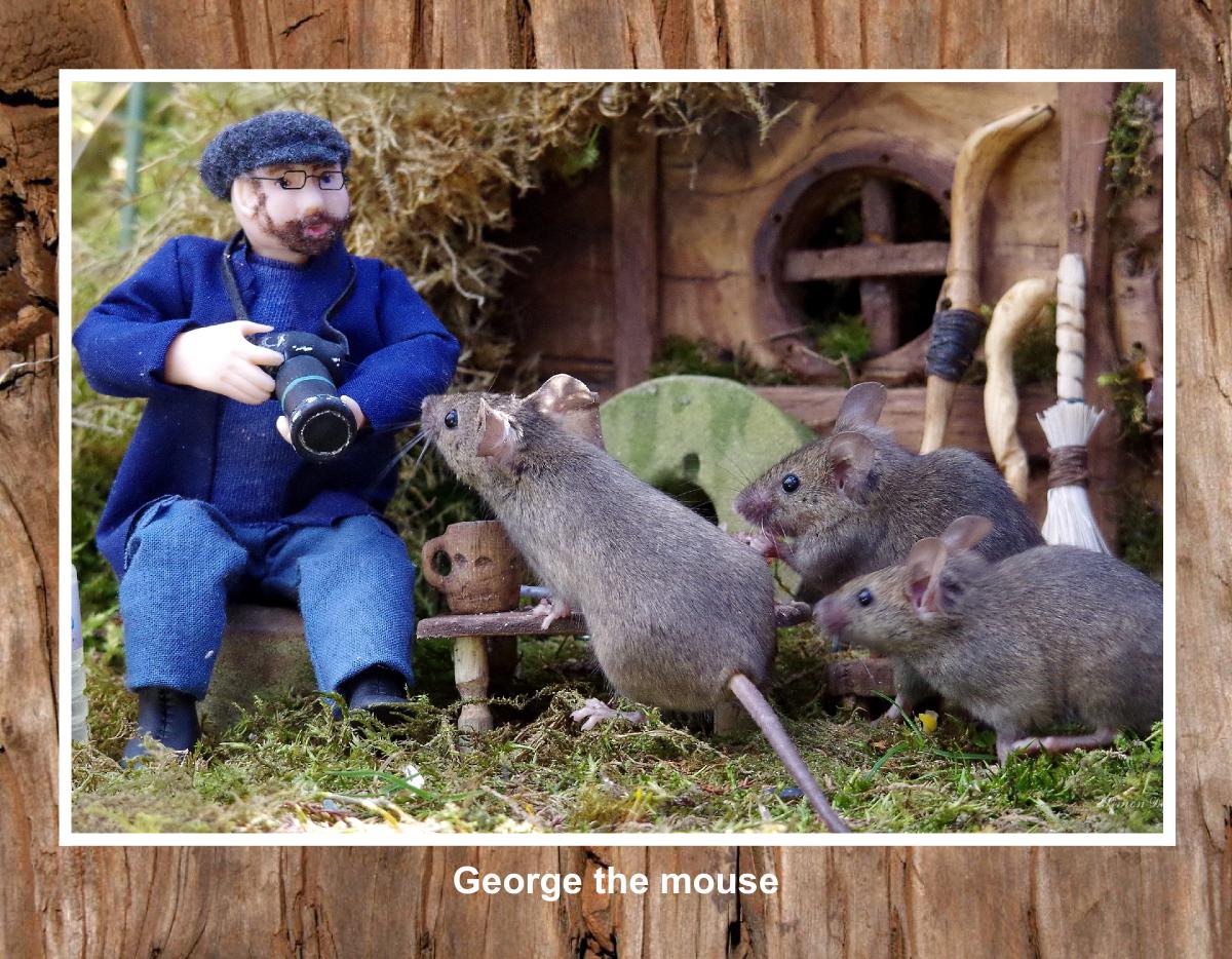 2023 George the mouse calendars 33
