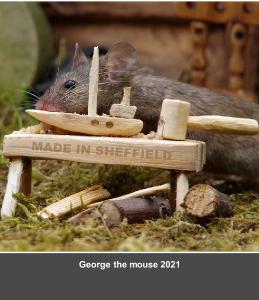 George the mouse wood work 2022 calendar