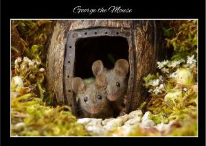 George the mouse thank you card