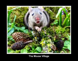 2024 mixed George the mouse  village