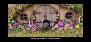 George the mouse in a log pile house desk calendar
