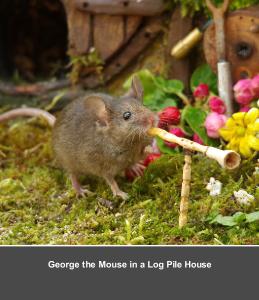 George the Mouse in a Log Pile House  cd calendar