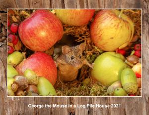 2020 George the mouse calendar