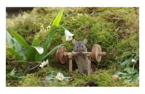 weight lifter mouse