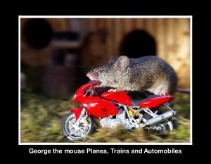 Planes, Trains and Automobiles mice