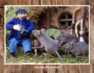 2022 George the mouse calendars 33