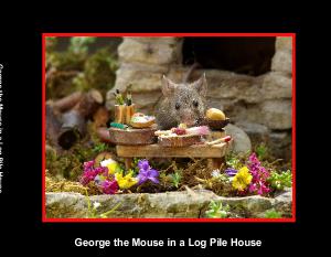 George the Mouse in a Log Pile House  photo book