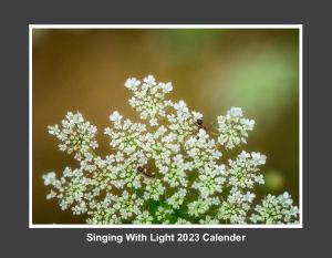 Nature 2023 Calender
