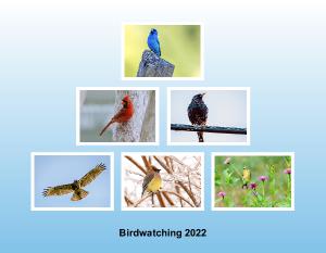 Birdwatching 2022