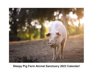 Sleepy Pig Farm Animal Sanctuary 2023 Calendar!