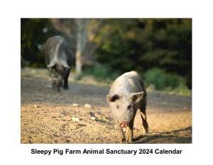 Sleepy Pig Farm Animal Sanctuary 2024 Calendar!