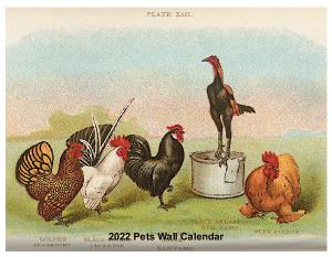 2022 Pets Wall Calendar