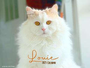 2023 Louie Calendar