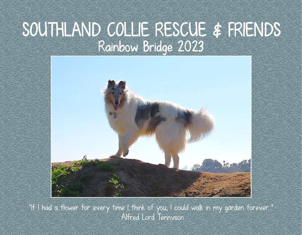 SCR & Friends Rainbow Bridge 2024