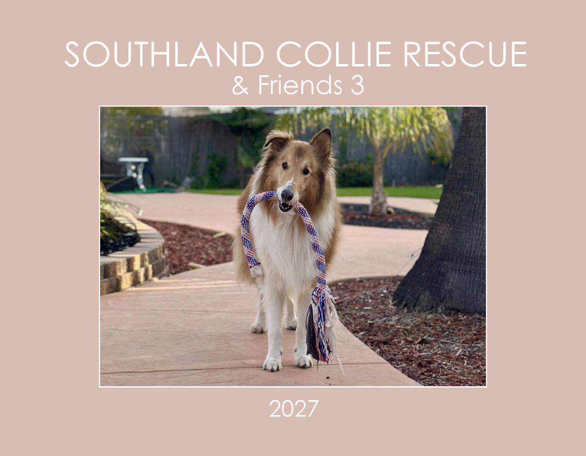 SCR & Friends 3 - 2027