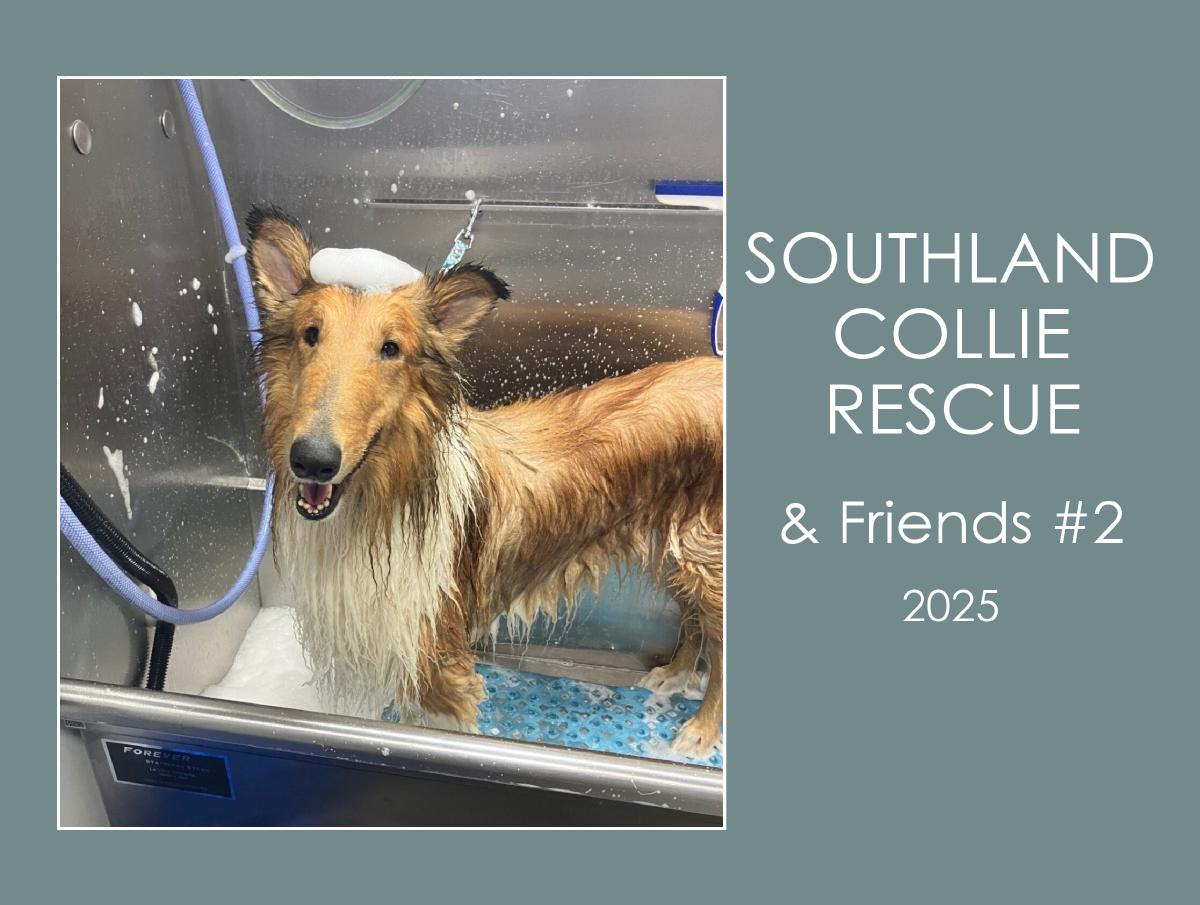 Southland Collie Rescue & Friends #2 - 2025