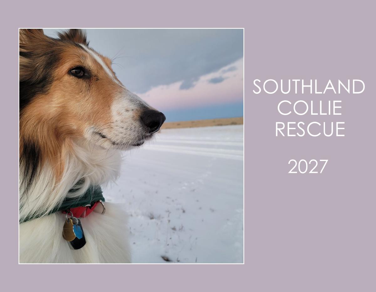Southland Collie Rescue 2027