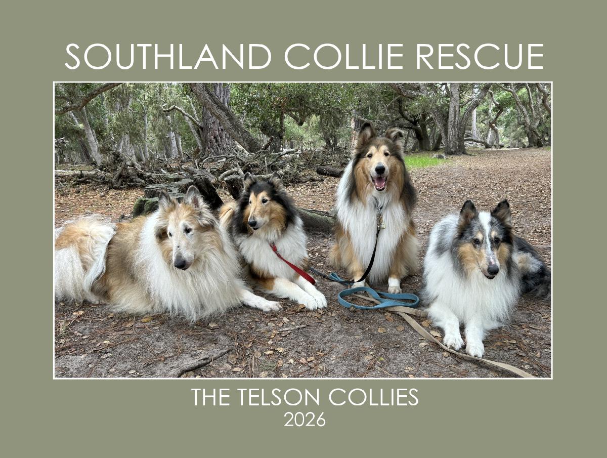 Southland Collie Rescue - The Telson Collies