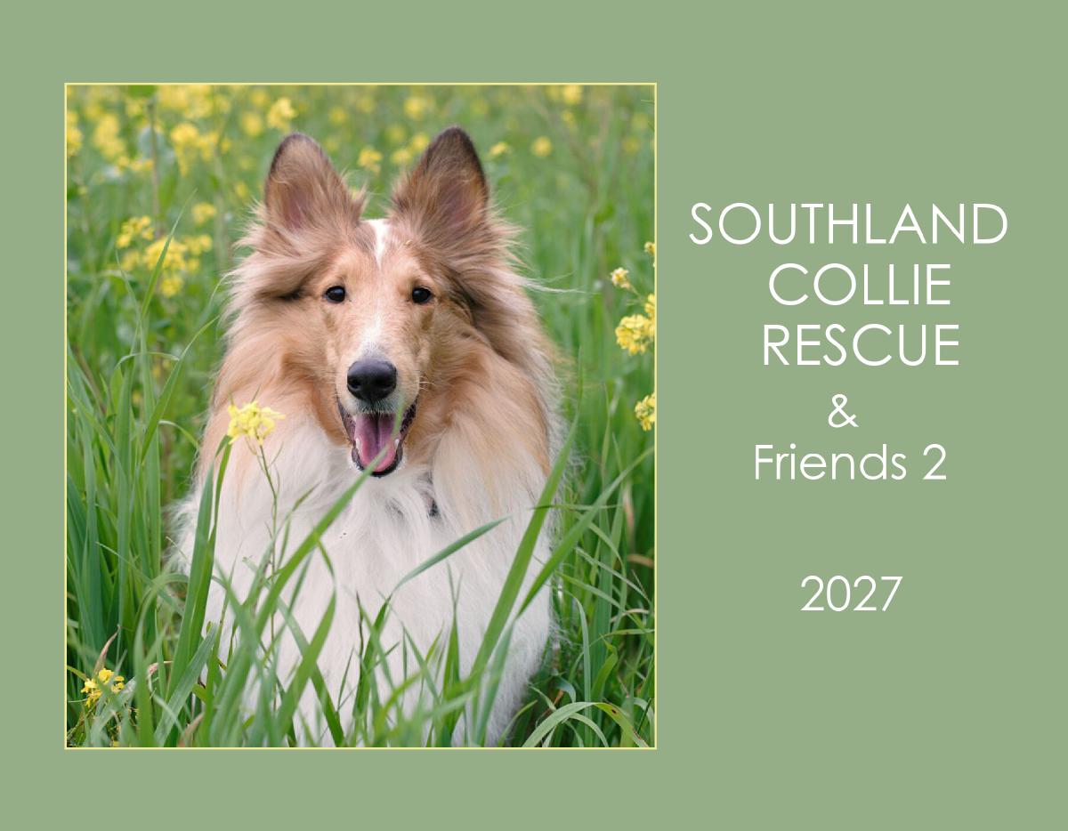 SCR & Friends 2