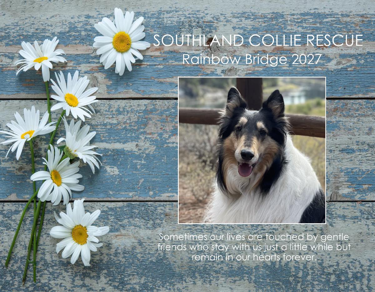 Rainbow Bridge 2027