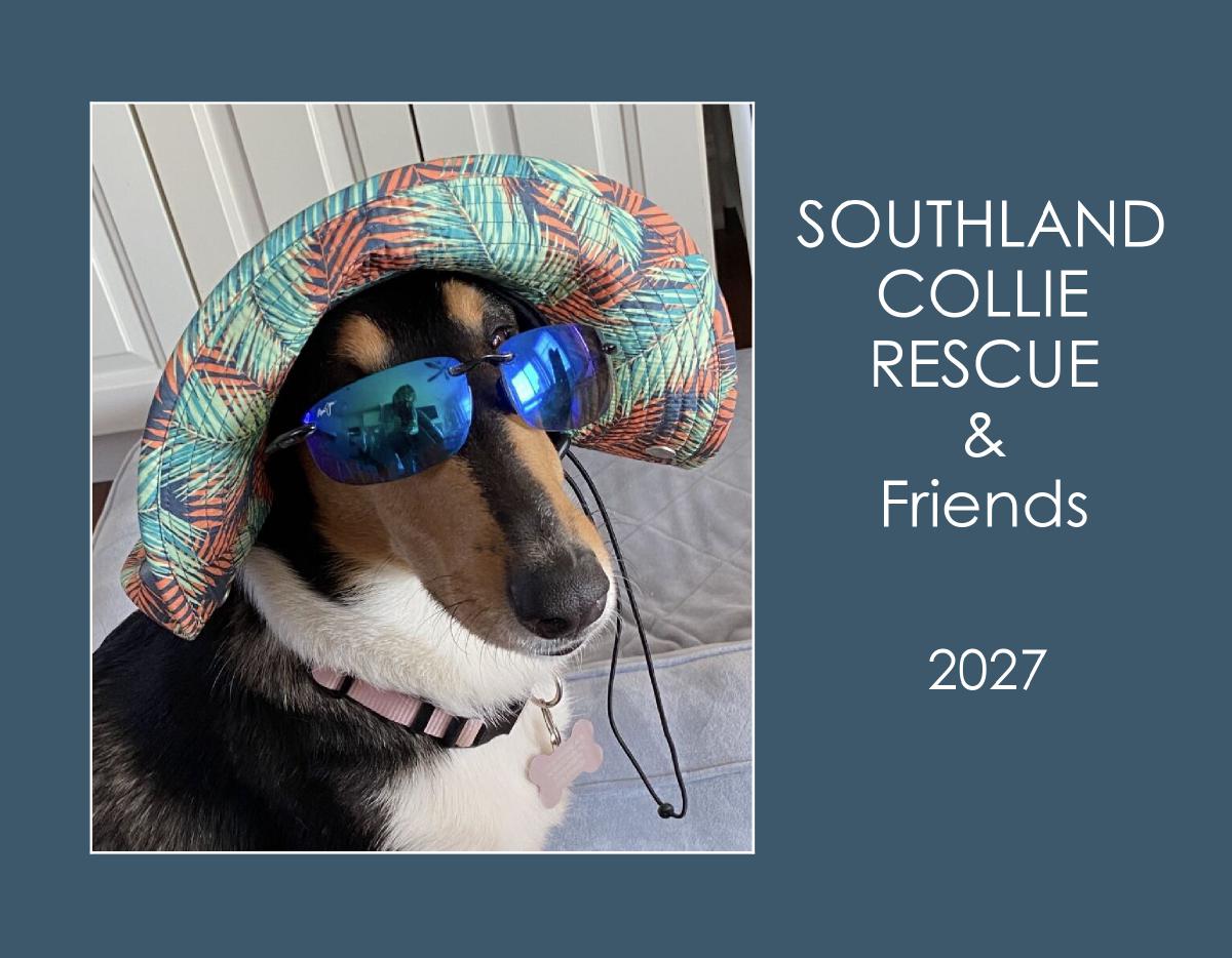 SCR & Friends 2027