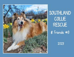 Southland Collie Rescue & Friends #3 - 2023