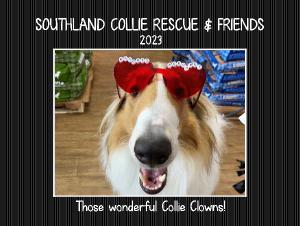 southlandcollierescue
