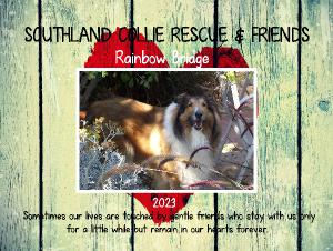 southlandcollierescue