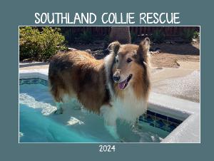 Southland Collie Rescue 2024