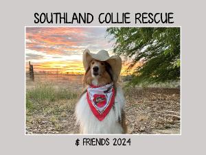 Southland Collie Rescue & Friends 2024