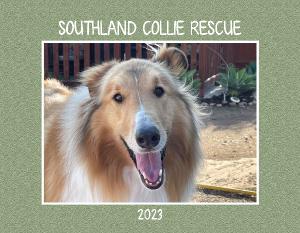 Southland Collie Rescue 2023