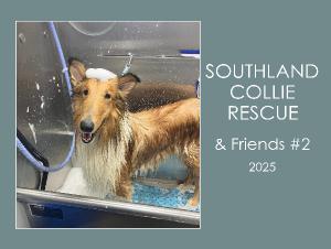 Southland Collie Rescue & Friends #2 - 2025