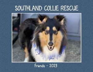 southlandcollierescue