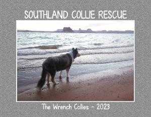 Southland Collie Rescue - The Wrench Collies 2023