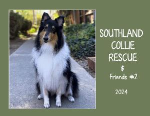 Southland Collie Rescue & Friends #2