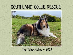 Southland Collie Rescue - The Telson Collies 2023