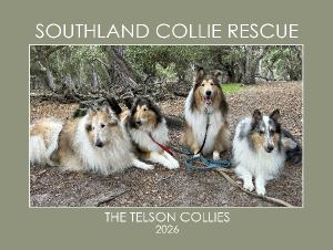 Southland Collie Rescue - The Telson Collies