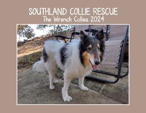 Southland Collie Rescue - The Wrench Collies