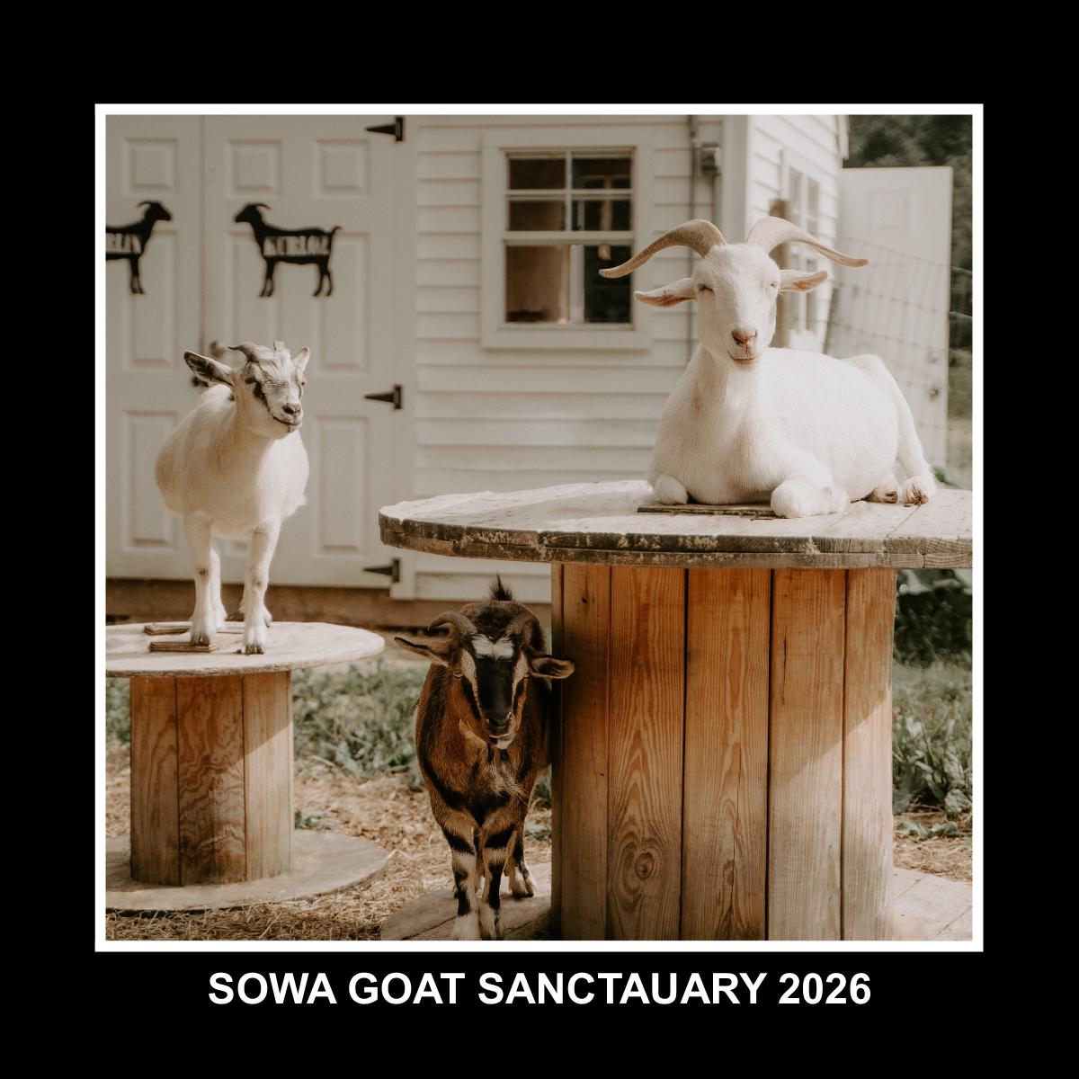 Sowa Goat Sanctuary 2026 Calendar