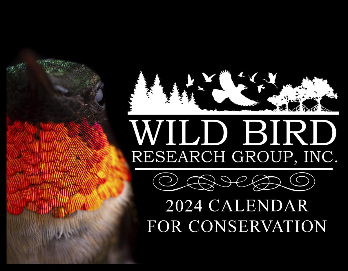 2024 WBRG Calendar for Conservation